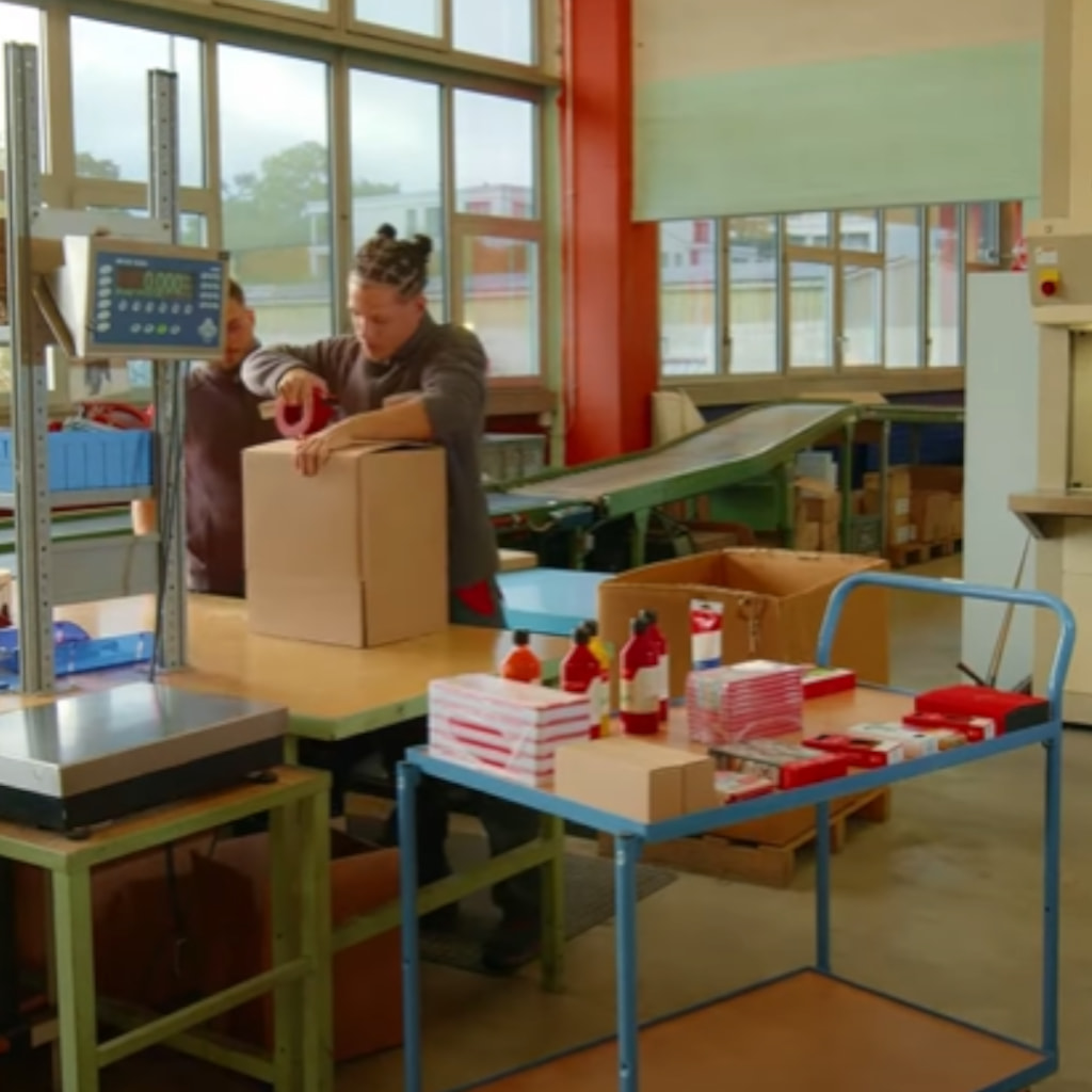 Logista in apprendistato